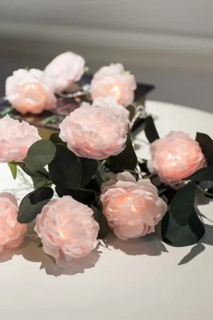 Offre Du Jour Guirlande lumineuse 10 rose clair